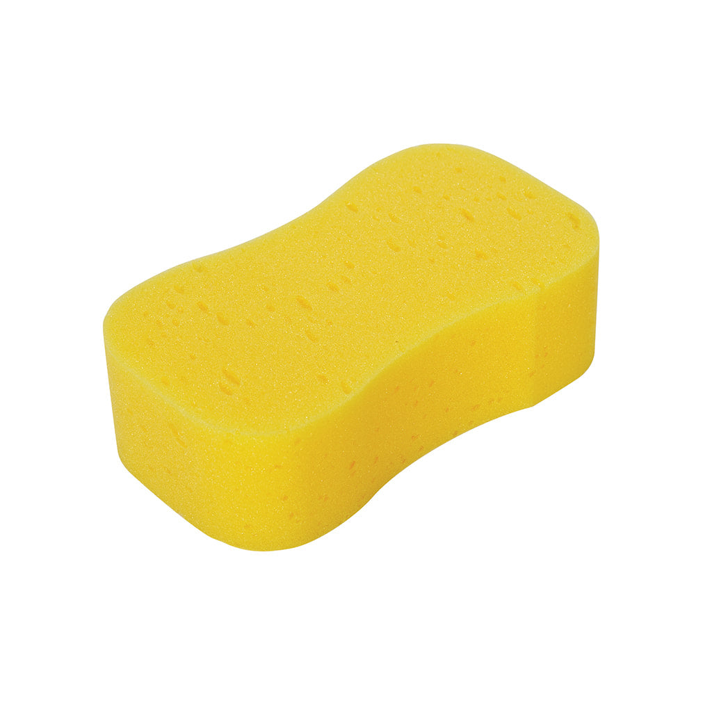 Jumbo Sponge