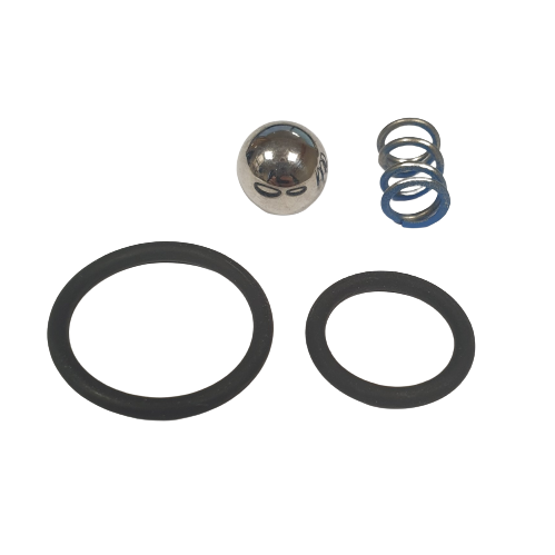 Check Valve Repair Kit