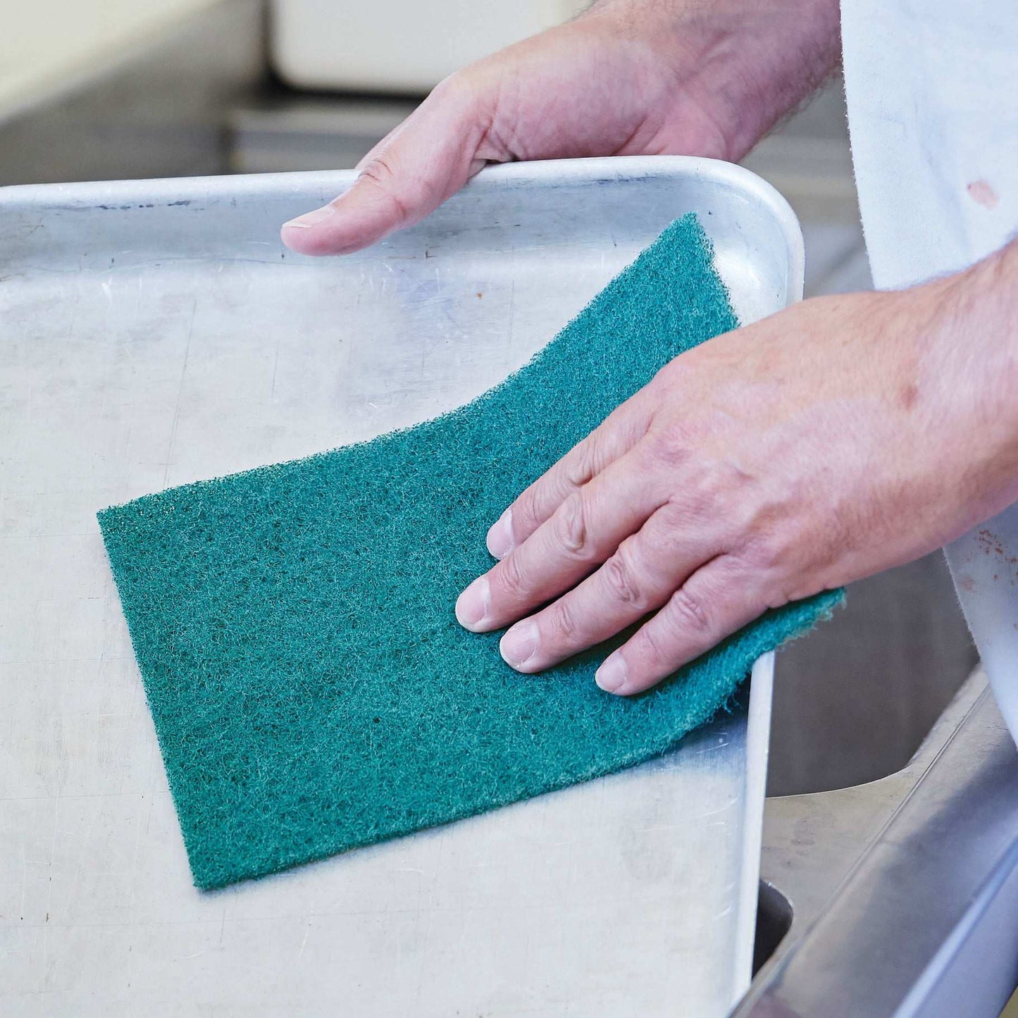 Eco Caterers Scourer (10 Pack)