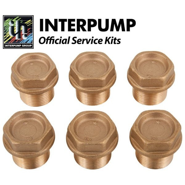 Interpump Service/Repair Kit 124 – KIT124