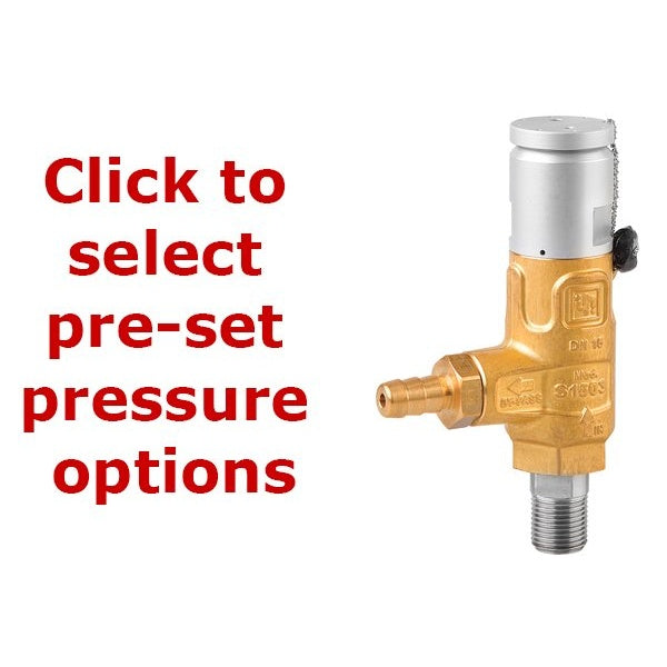 Pratissoli S1503 Certified Safety Relief Valve