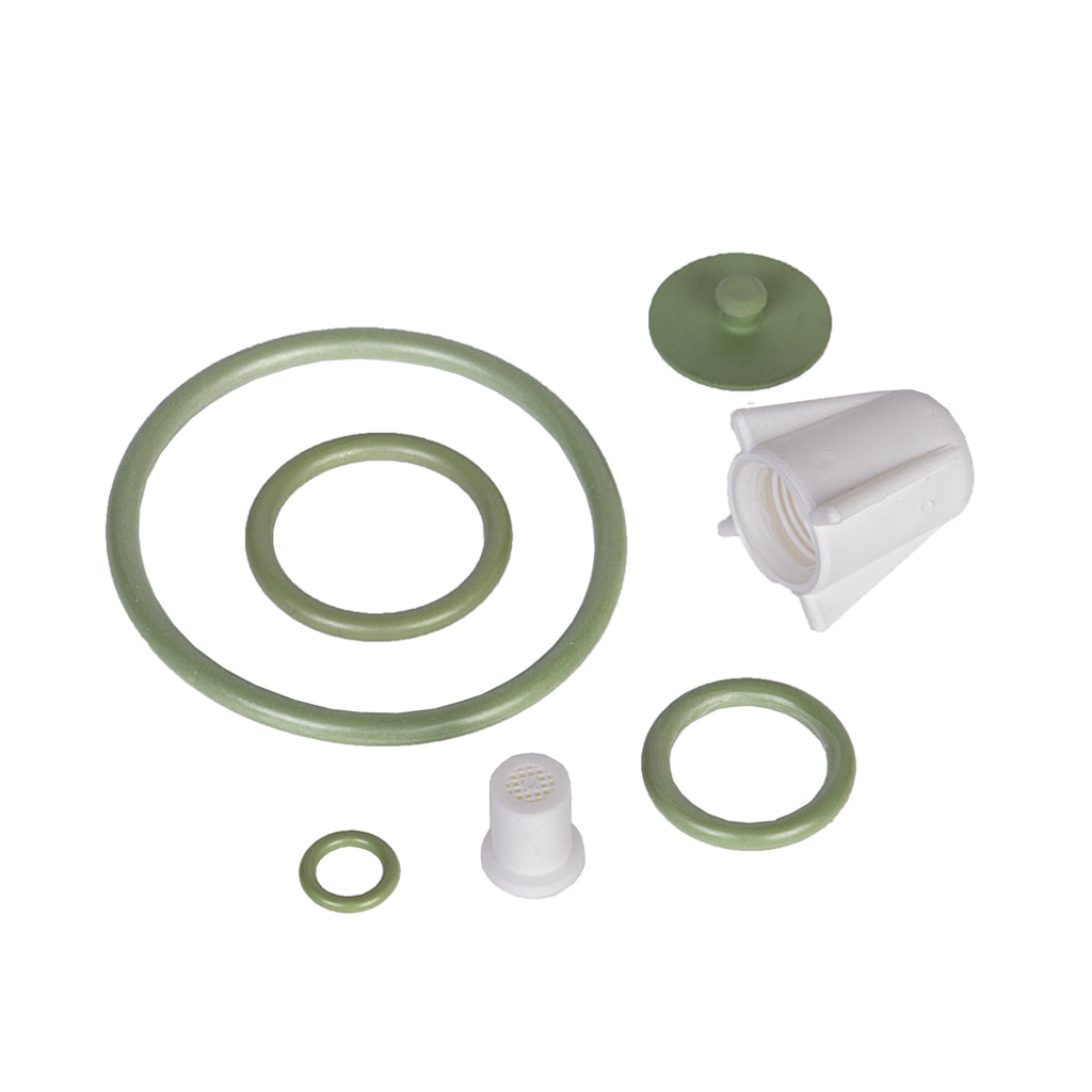 Robert Scott Pump Up Pressure Sprayer Viton Seals Kit