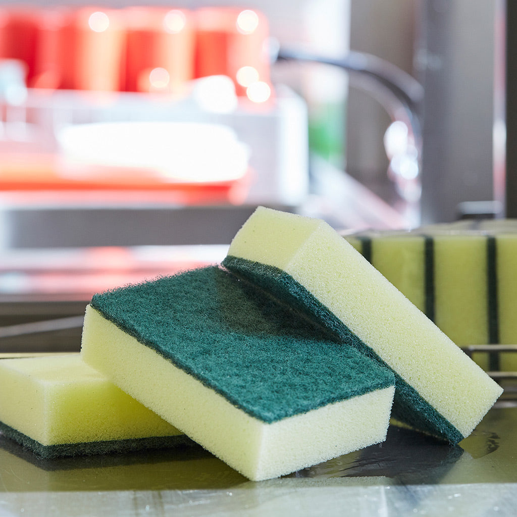 Sponges and Scourers