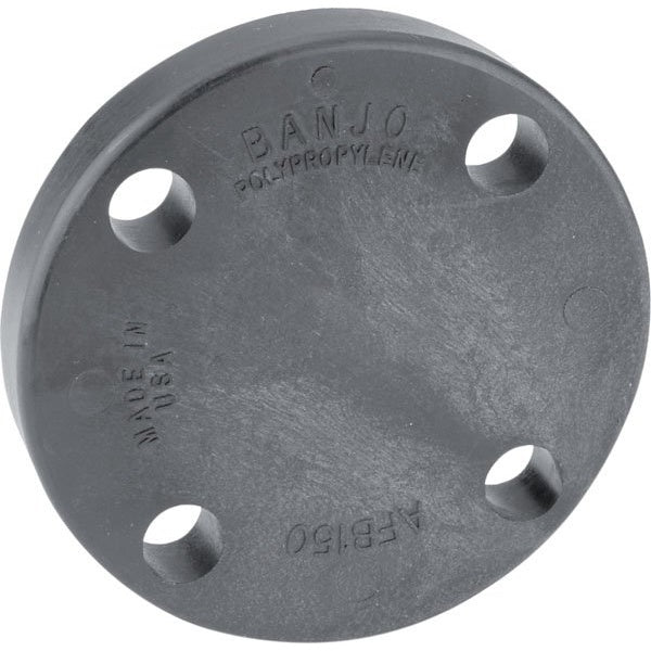 Banjo ANSI 150 Blind Flange – 9901-AFB200
