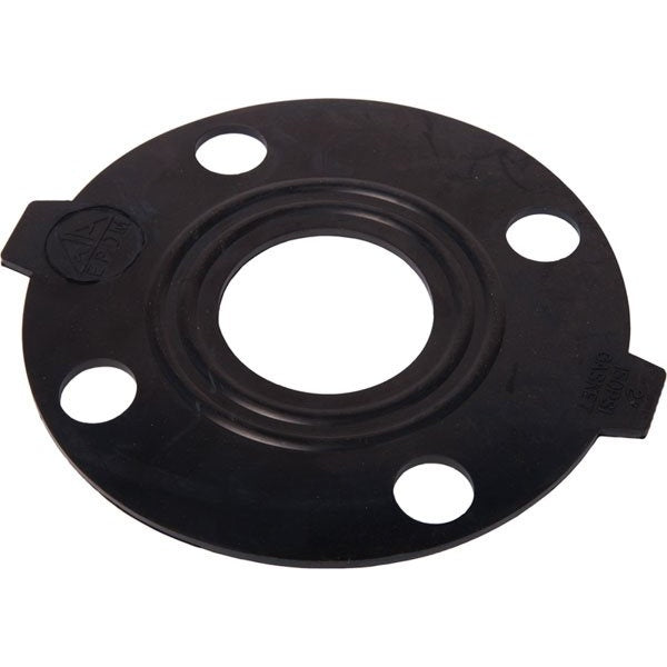 Banjo ANSI 150 Flange Gasket – 9901-AF300GV