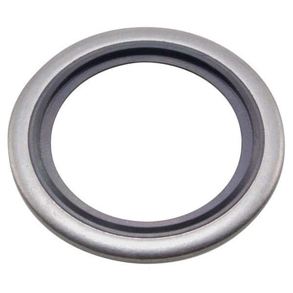 Dowty Washer - AISI 316 – BW24SS