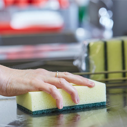 Caterers Sponge Scourer (10 Pack)