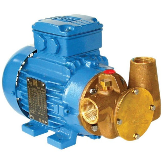 Flojet Jabsco P40 400V Oil Transfer Pump – 53041-2053-400