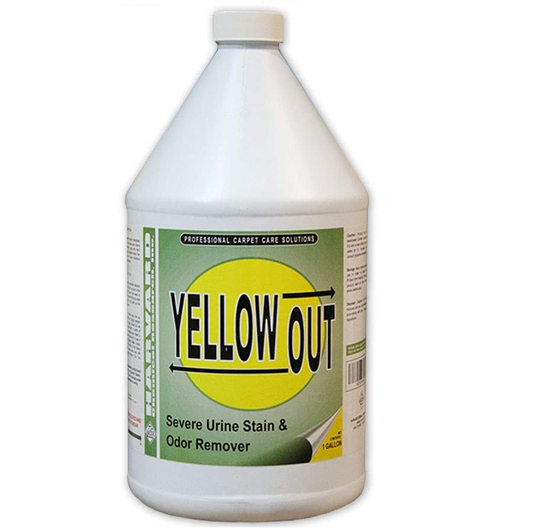 Harvard yellow out