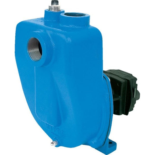 Hypro 9300SP Series Pump – 9305C-HM3C-BSP