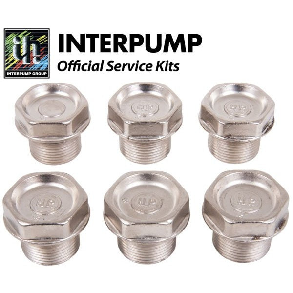 Interpump Service/Repair Kit 106 – KIT106