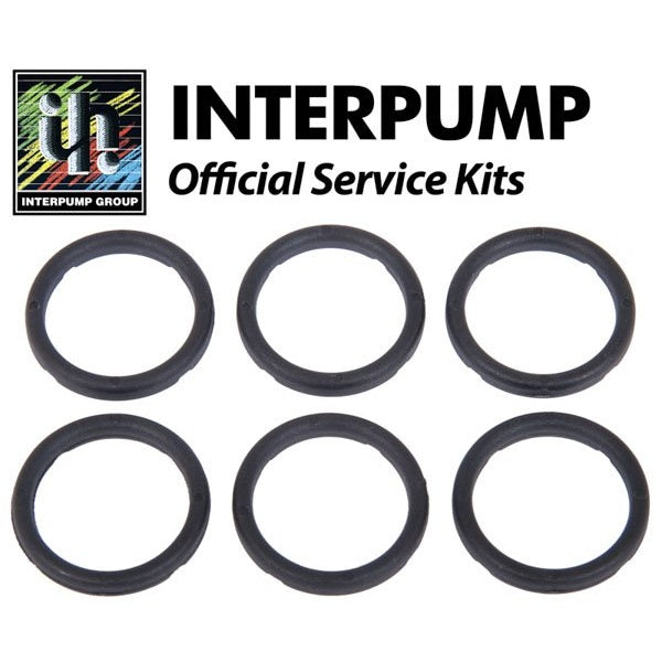 Interpump Service/Repair Kit 129 – KIT129