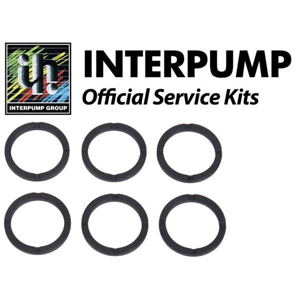 Interpump Service/Repair Kit 155 – KIT155