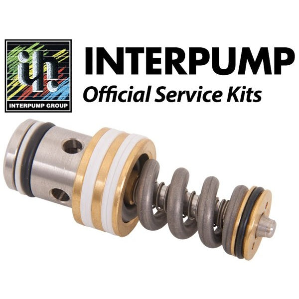 Interpump Service/Repair Kit 168 – KIT168