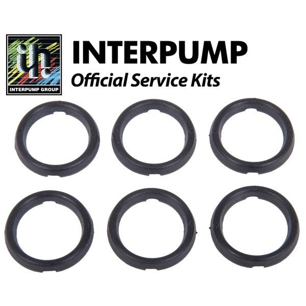 Interpump Service/Repair Kit 21 – KIT21