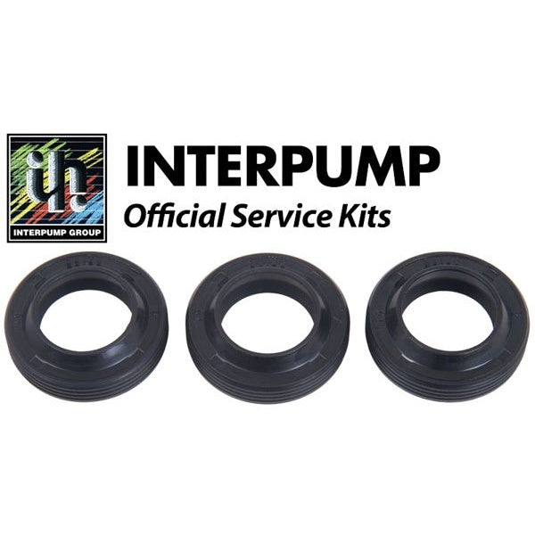 Interpump Service/Repair Kit 271 – KIT271