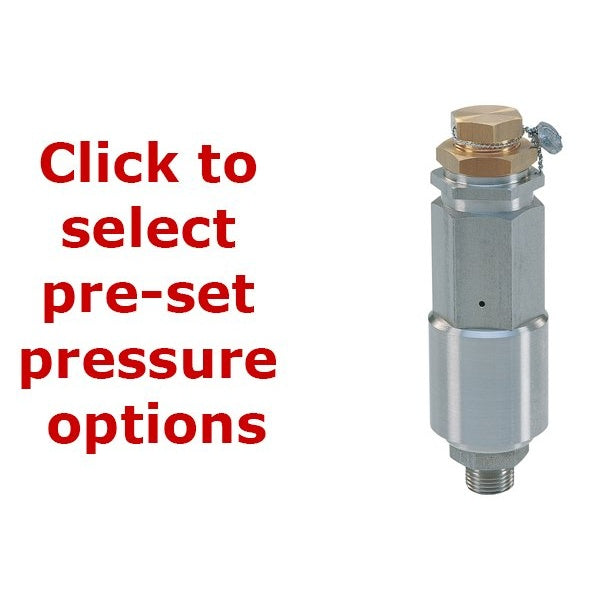 Pratissoli SX2 Safety Relief Valve - AISI 316