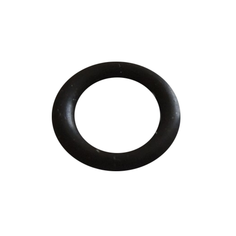 Prochem O Ring