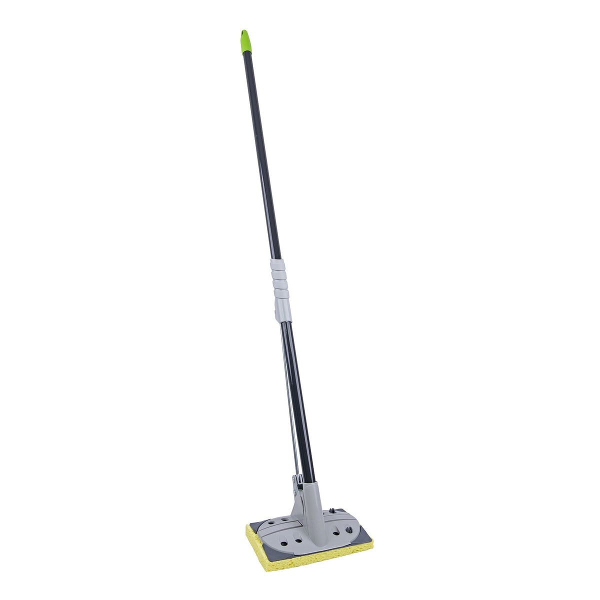 Robert Scott Wonderdry Sponge Mop – Box of 4
