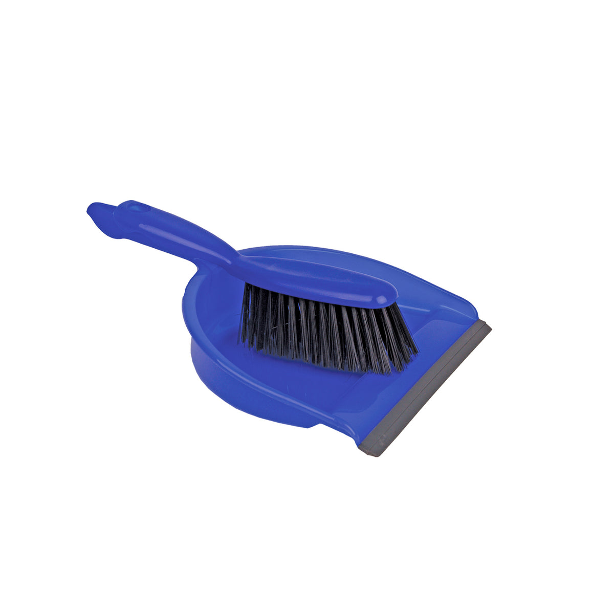 Robert Scott Professional Dustpan & Brush Set Stiff – Box of 12 – Blue