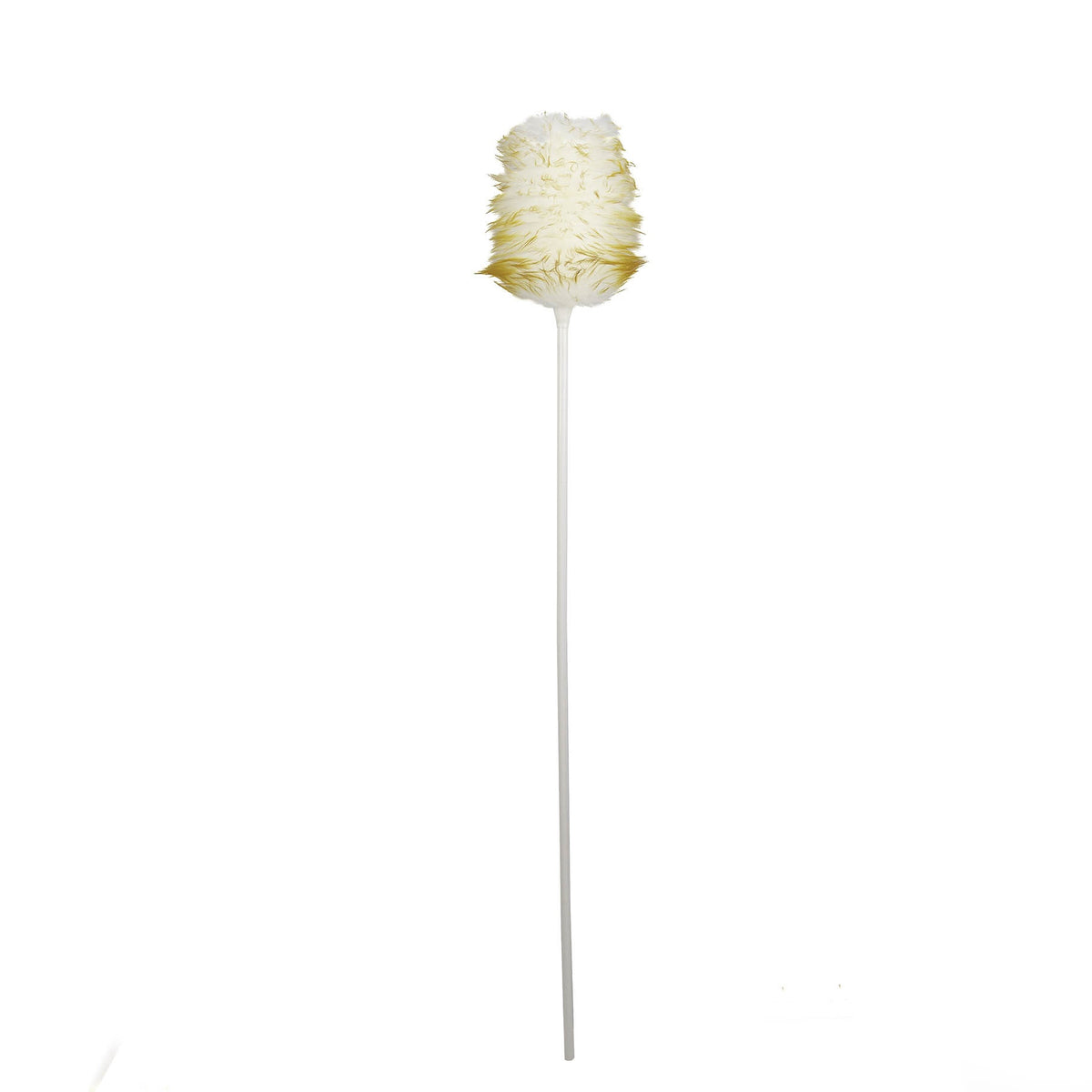 Robert Scott Lambswool Duster & 122cm Handle – Box of 20